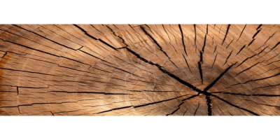 images/galerija/17.png